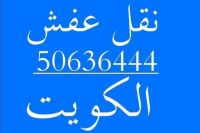 نقل عفش الكويت 50636444 المنطقة العاشرة وحولي والفروانيه