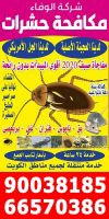 شركة مكافحة حشرات الكويت مجربة ومضمونة بالكويت ت: 90038185 