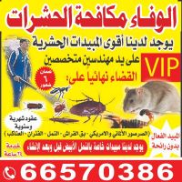 شركة مكافحة حشرات وقوارض الاحمدي بالكويت ت: 66570386