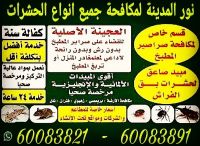مكافحة حشرات الكويت 