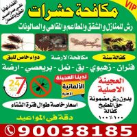 شركة مكافحة حشرات وقوارض الاحمدي بالكويت ت: 90038185