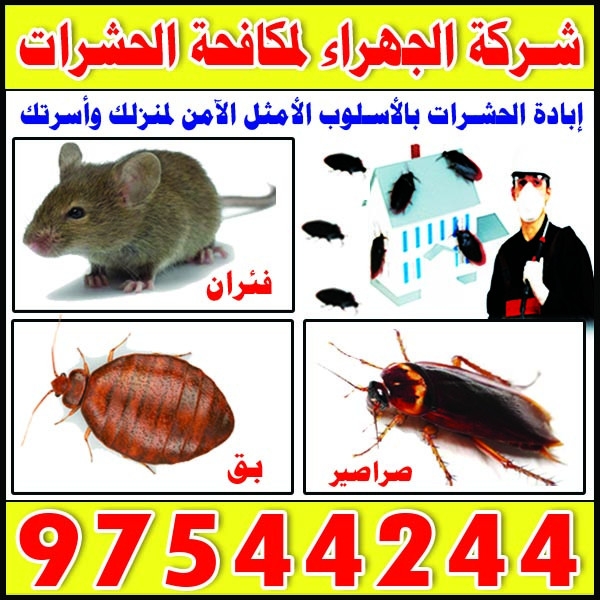 شركة الجهراء لمكافحة الحشرات : 0096597544244