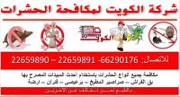 مكافحة حشرات بجميع مناطق الكويت  66290176