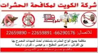 رش ومكافحة الحشرات في الكويت 66290176