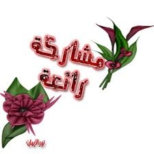 نشترى الاثاث 99970185 المستعمل